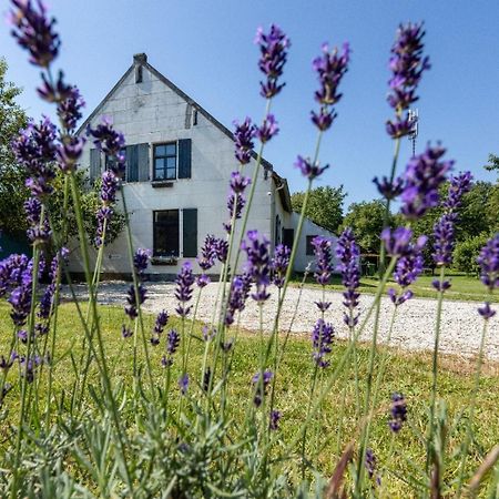 B&B Op De Soursehof Baexem エクステリア 写真